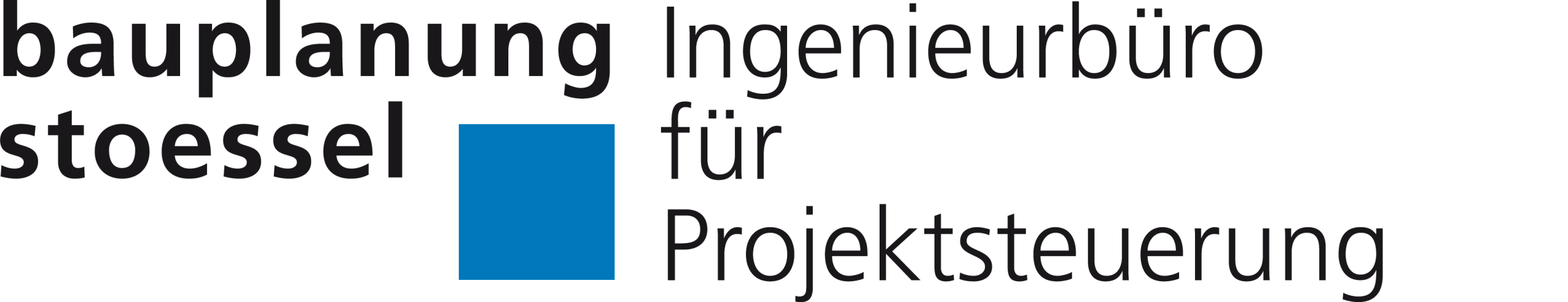  Project Manager